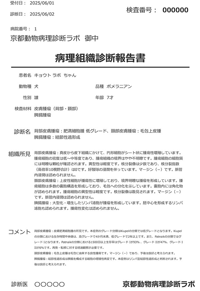 病理組織診断報告書 サンプル